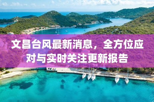 文昌台风最新消息，全方位应对与实时关注更新报告