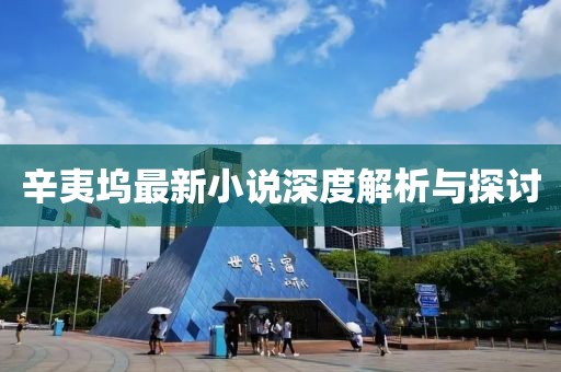 辛夷坞最新小说深度解析与探讨