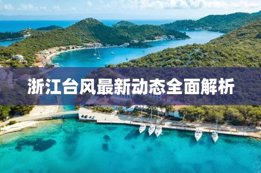 浙江台风最新动态全面解析