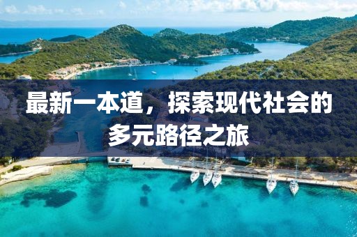 最新一本道，探索现代社会的多元路径之旅