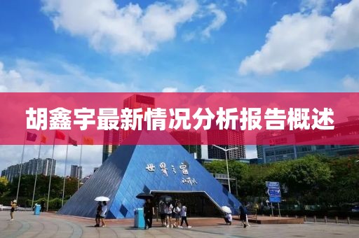 胡鑫宇最新情况分析报告概述