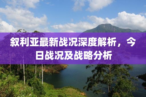 叙利亚最新战况深度解析，今日战况及战略分析