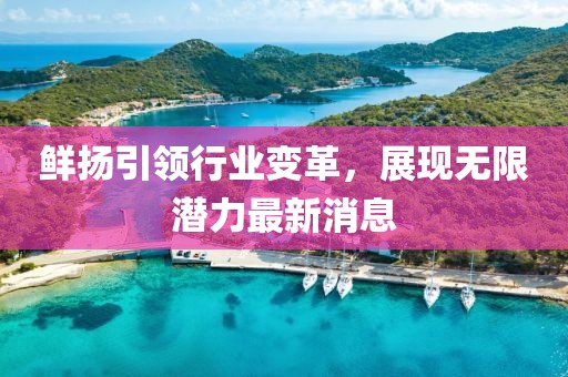 鲜扬引领行业变革，展现无限潜力最新消息