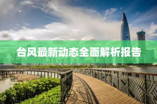 台风最新动态全面解析报告