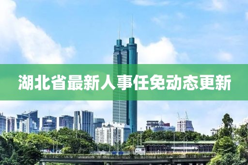 湖北省最新人事任免动态更新