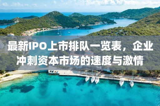 最新IPO上市排队一览表，企业冲刺资本市场的速度与激情