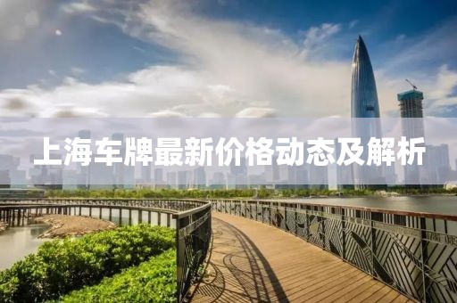 上海车牌最新价格动态及解析