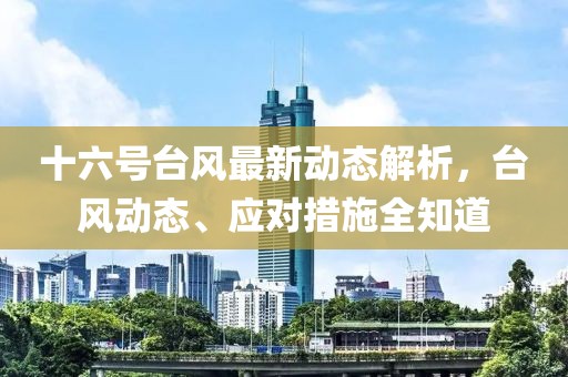 十六号台风最新动态解析，台风动态、应对措施全知道