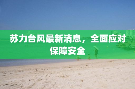 苏力台风最新消息，全面应对保障安全