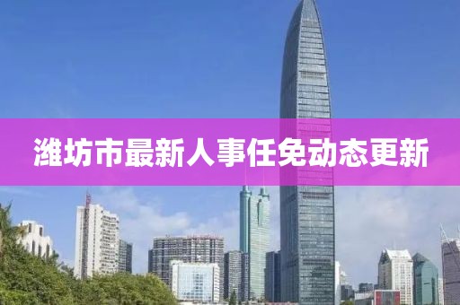 潍坊市最新人事任免动态更新