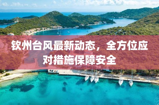 钦州台风最新动态，全方位应对措施保障安全