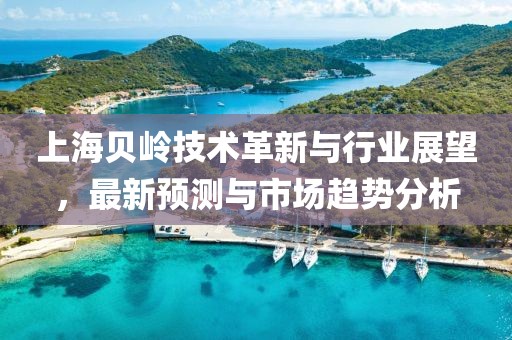 上海贝岭技术革新与行业展望，最新预测与市场趋势分析