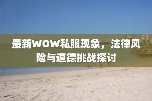 最新WOW私服现象，法律风险与道德挑战探讨