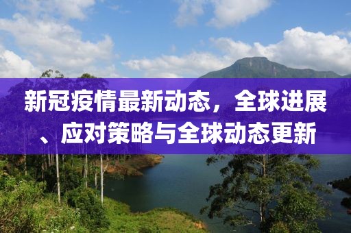 新冠疫情最新动态，全球进展、应对策略与全球动态更新