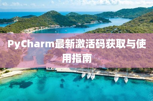 PyCharm最新激活码获取与使用指南