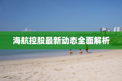 海航控股最新动态全面解析