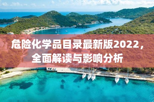 危险化学品目录最新版2022，全面解读与影响分析