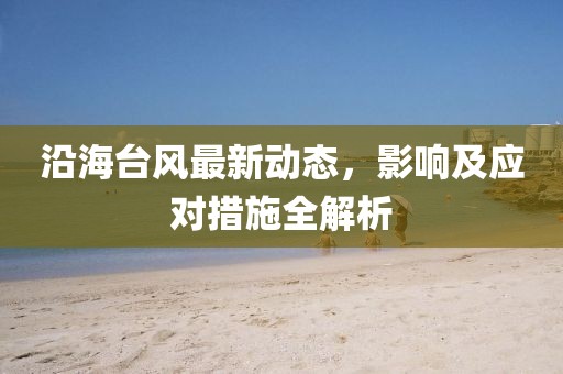 沿海台风最新动态，影响及应对措施全解析