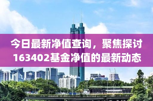 今日最新净值查询，聚焦探讨163402基金净值的最新动态