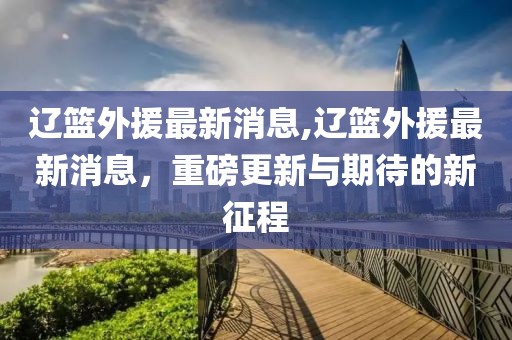 辽篮外援最新消息,辽篮外援最新消息，重磅更新与期待的新征程