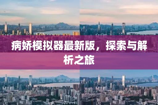 病娇模拟器最新版，探索与解析之旅