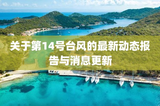 关于第14号台风的最新动态报告与消息更新