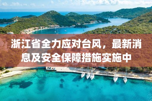 浙江省全力应对台风，最新消息及安全保障措施实施中