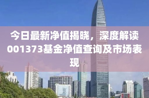 今日最新净值揭晓，深度解读001373基金净值查询及市场表现