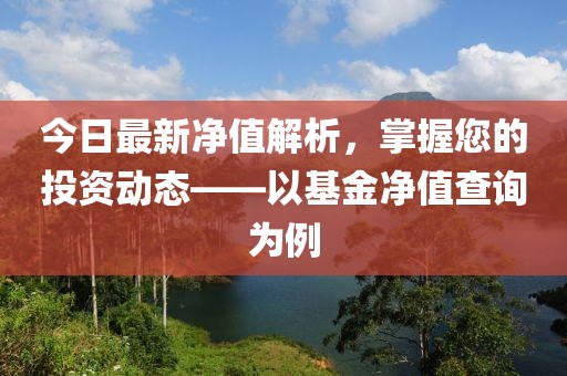 今日最新净值解析，掌握您的投资动态——以基金净值查询为例