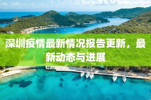 深圳疫情最新情况报告更新，最新动态与进展