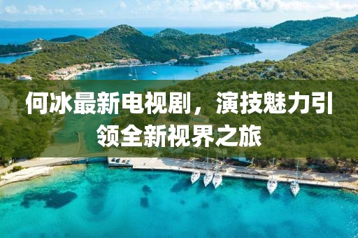 何冰最新电视剧，演技魅力引领全新视界之旅