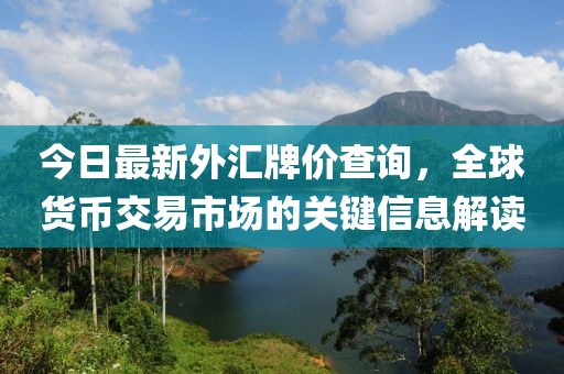 今日最新外汇牌价查询，全球货币交易市场的关键信息解读