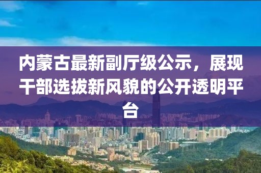 内蒙古最新副厅级公示，展现干部选拔新风貌的公开透明平台